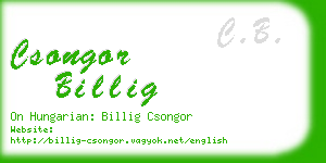 csongor billig business card